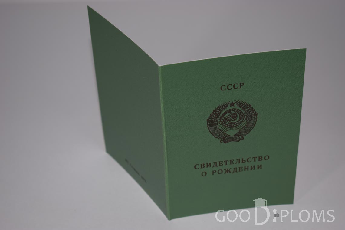 Свидетельство о Рождении - Обратная сторона - Житомир