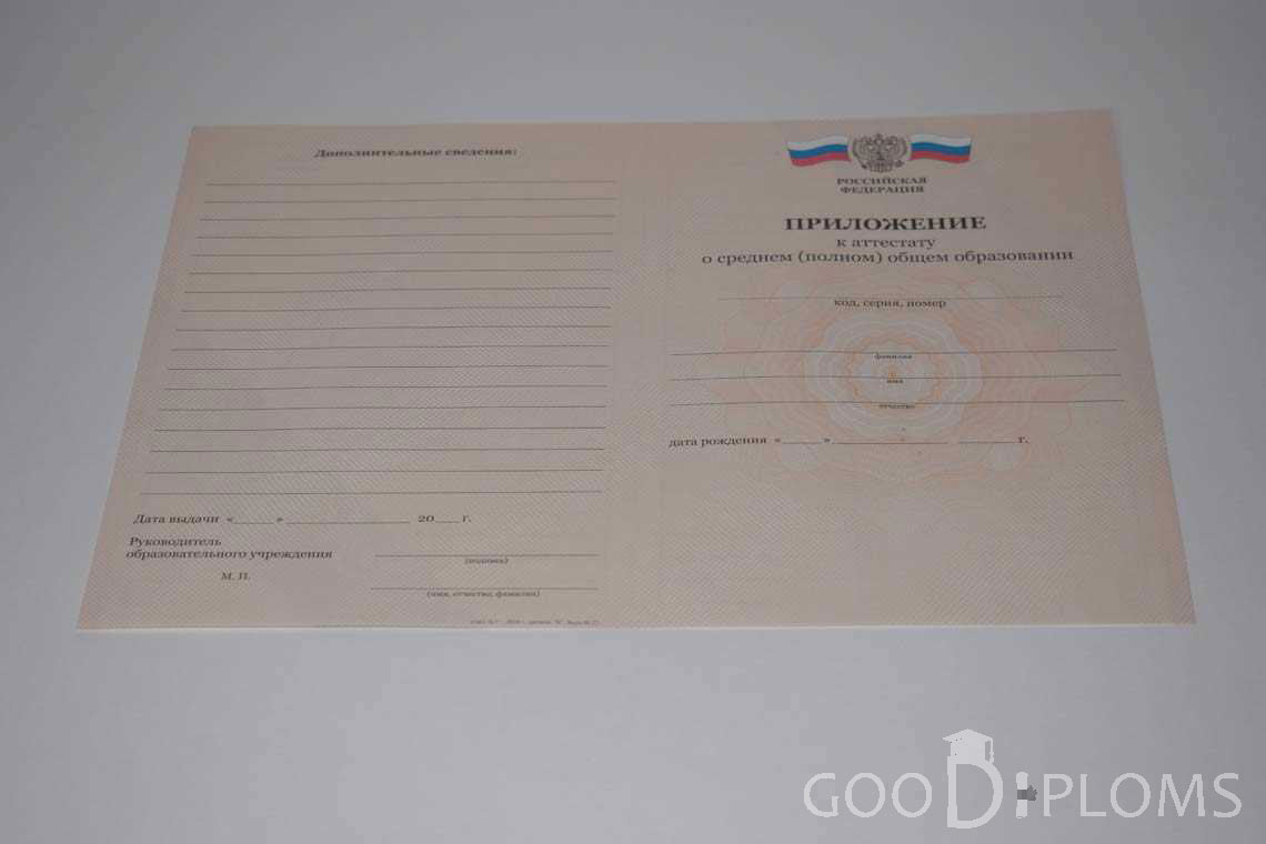 Приложение к Аттестату За 11 Класс период выдачи 2008-2009 -  Житомир
