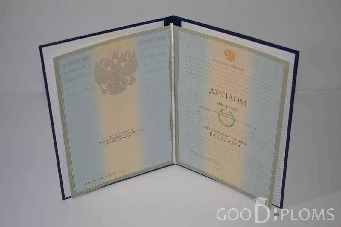 Диплом Бакалавра в период c 2003 по 200 год - Житомир