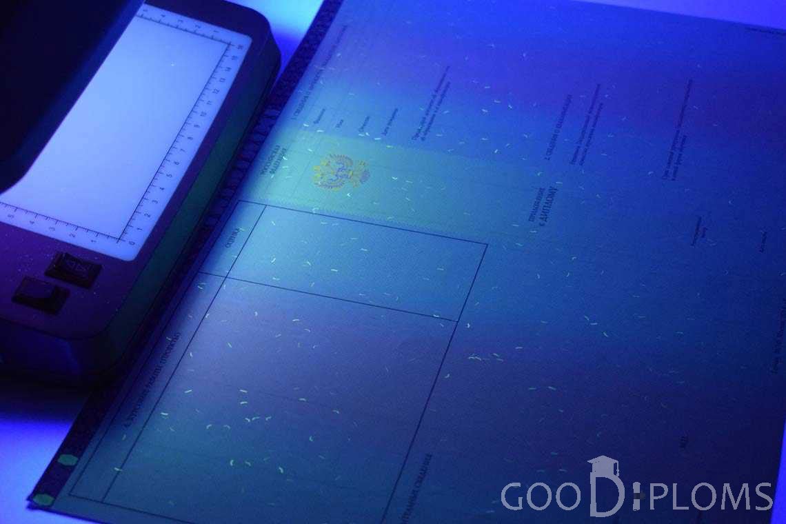 Приложение к Диплому Бакалавра с Отличием в Ультрафиолете период c 2013 по 2025 год - Житомир
