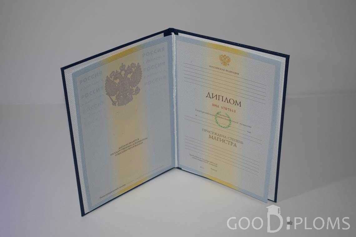 Диплом Магистра в период c 2009 по 2010 год - Житомир