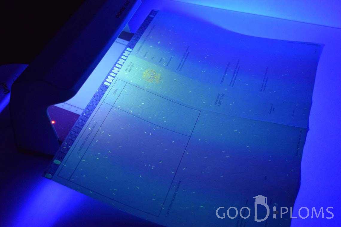Приложение к Диплому Магистра в Ультрафиолете в период c 2014 по 2025 год - Житомир