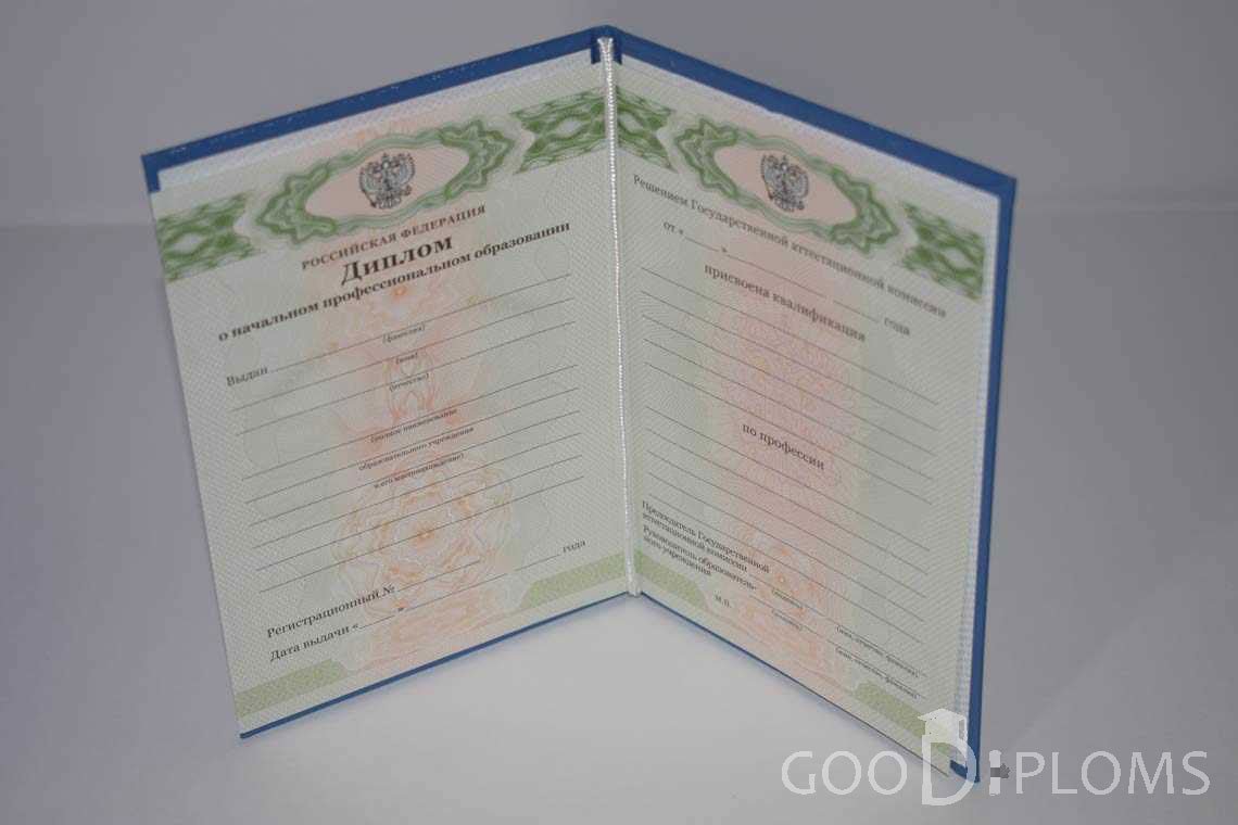 Диплом Училища период выдачи 2011-2020  -  Житомир