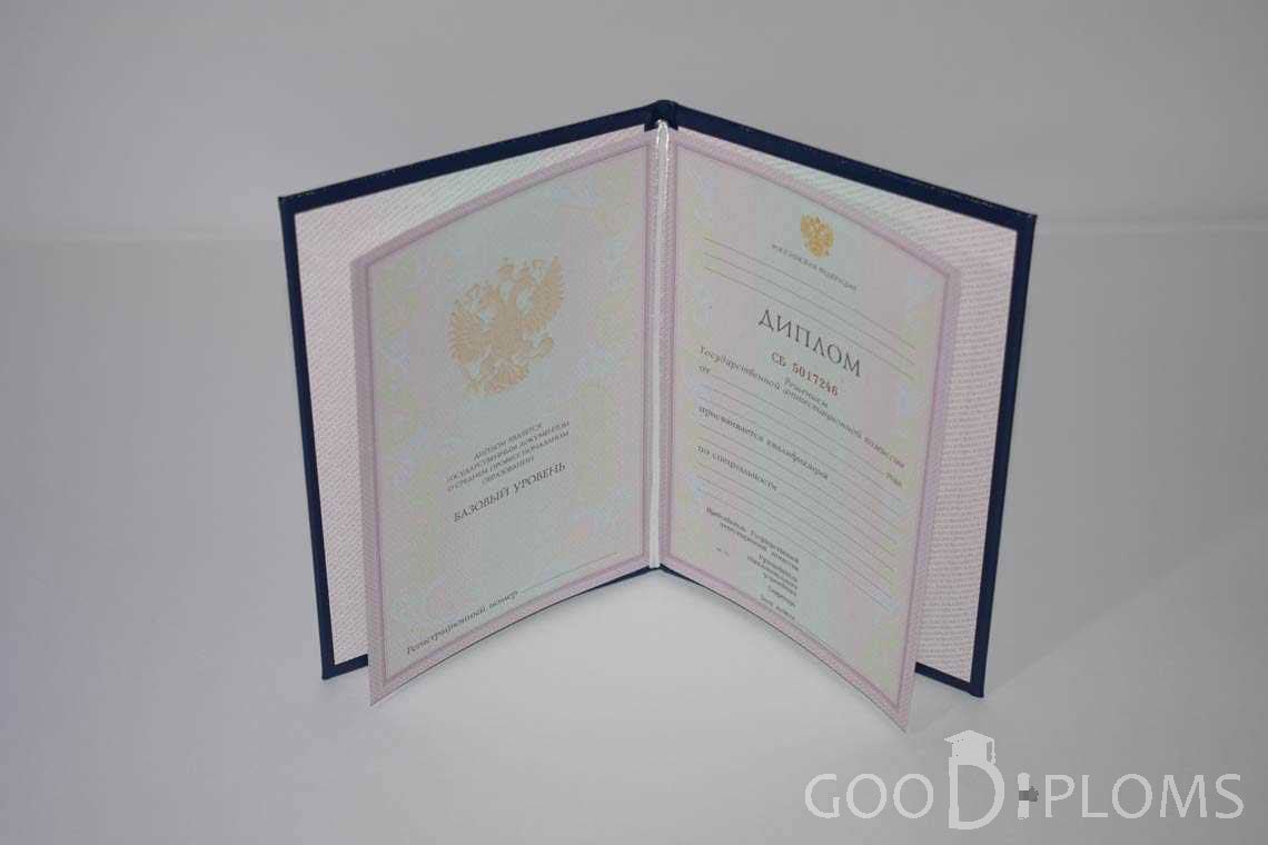 Диплом Техникума  период c 2003 по 2007 год - Житомир