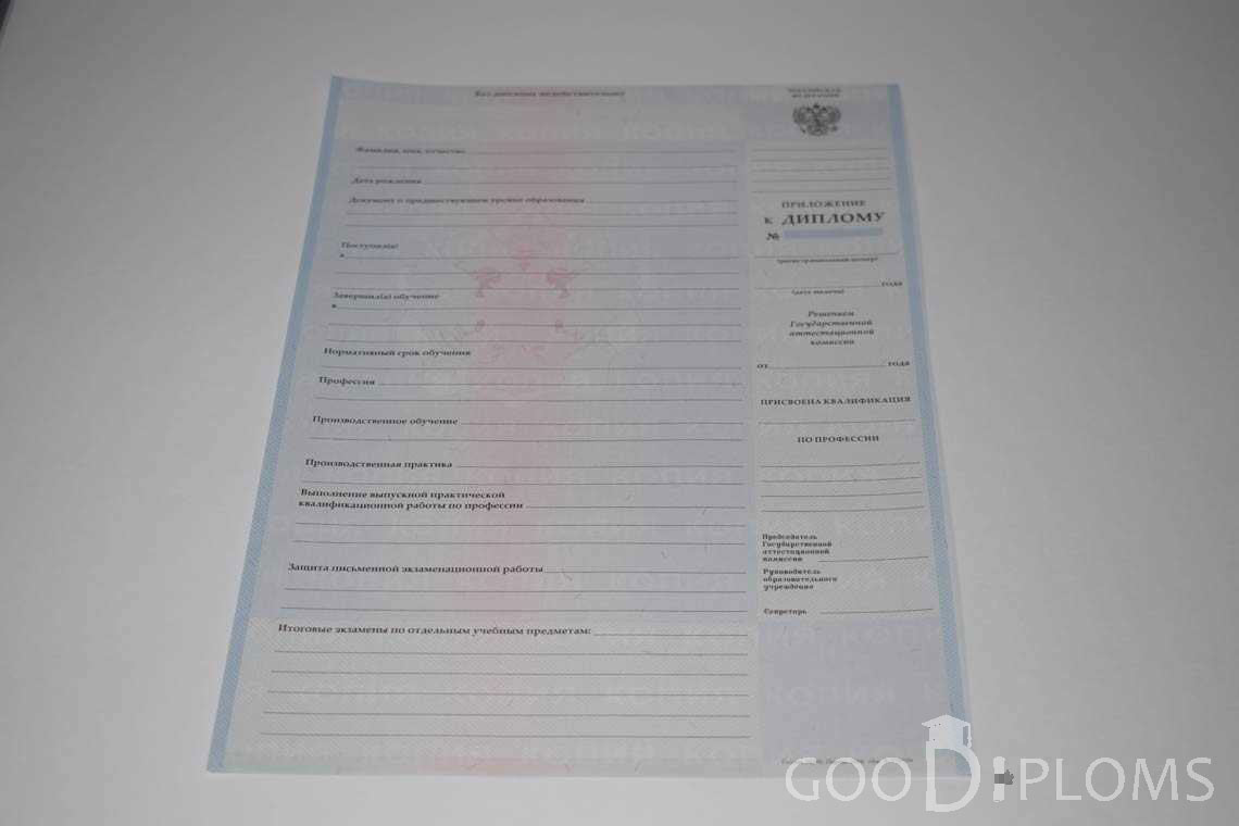 Приложение к Диплому Техникума с Отличием в период c 2008 по 2010 год - Житомир