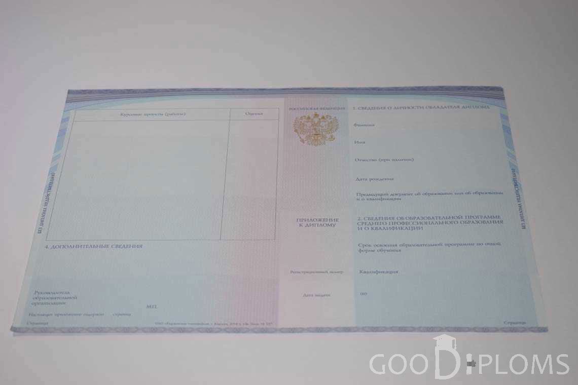 Приложение к Диплому Техникума с Отличием в период c 2014 по 2025 год - Житомир