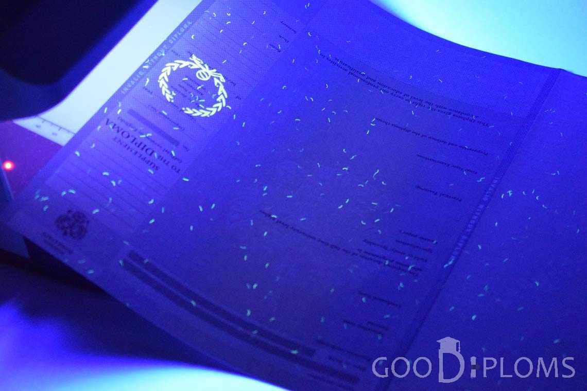 Приложение к Диплому Для Иностранных Граждан в Ультрафиолете - Житомир