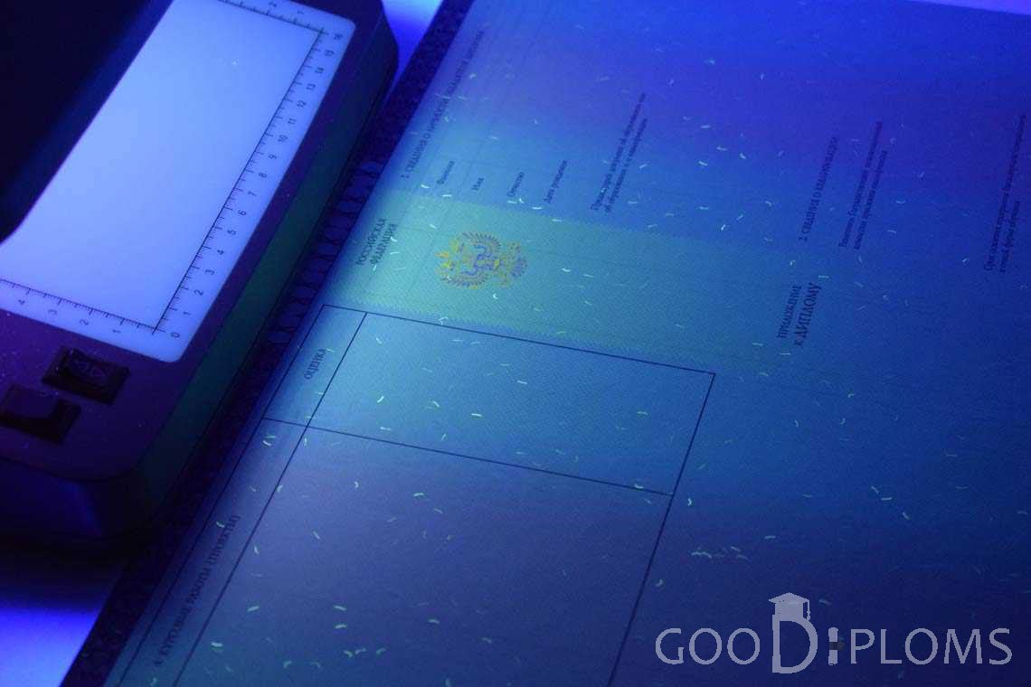 Приложение к Диплому о Высшем Образовании с Отличием в Ультрафиолете - Житомир