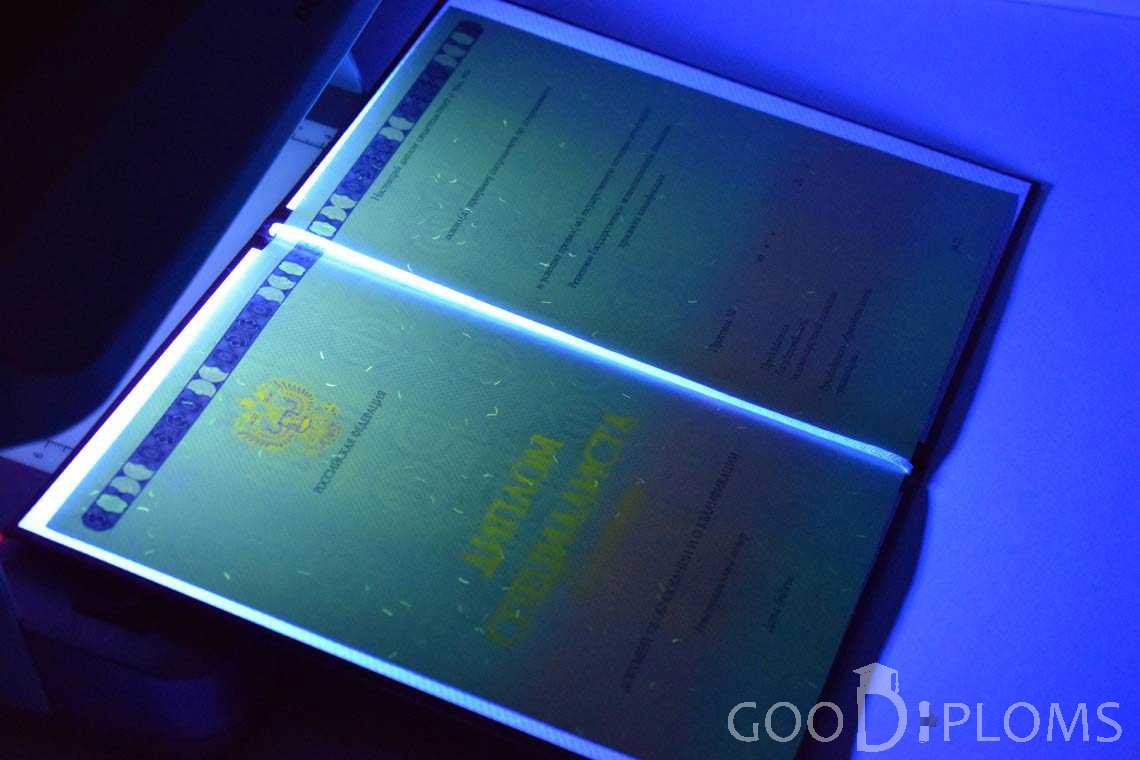 Бланк Диплома о Высшем Образовании с Отличием в Ультрафиолете - Житомир